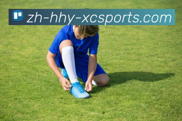 杏彩体育APP 封面图